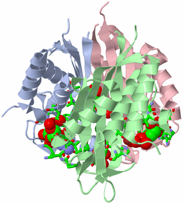 Image Asym./Biol. Unit - sites