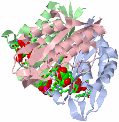 Image Asym./Biol. Unit - sites