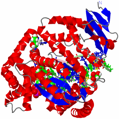 Image Asym./Biol. Unit