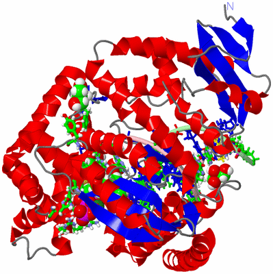 Image Asym./Biol. Unit - sites