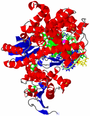 Image Asym./Biol. Unit