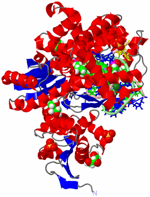 Image Asym./Biol. Unit