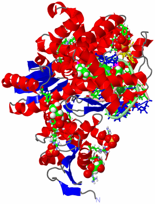 Image Asym./Biol. Unit - sites