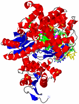 Image Asym./Biol. Unit