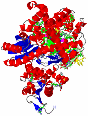 Image Asym./Biol. Unit - sites