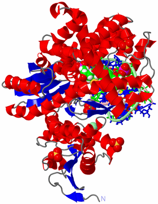 Image Asym./Biol. Unit