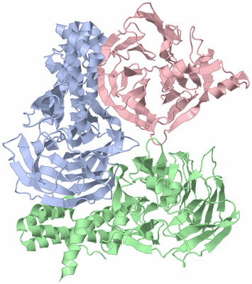 Image Asym./Biol. Unit