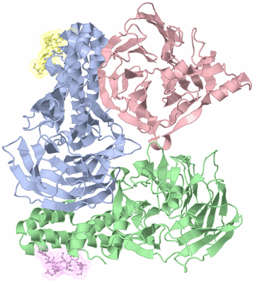 Image Asym./Biol. Unit