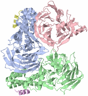 Image Asym./Biol. Unit