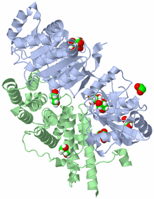 Image Asym./Biol. Unit