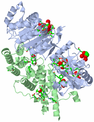 Image Asym./Biol. Unit - sites