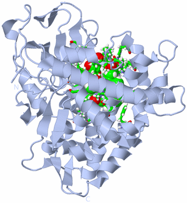 Image Biol. Unit 1 - sites