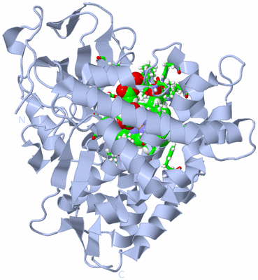 Image Biol. Unit 1 - sites