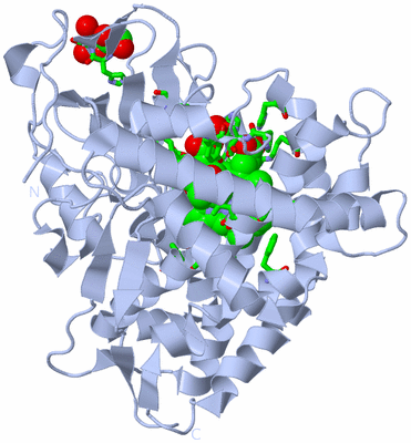 Image Biol. Unit 1 - sites