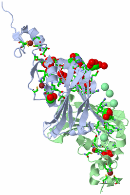 Image Asym./Biol. Unit - sites