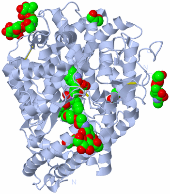 Image Biological Unit 1