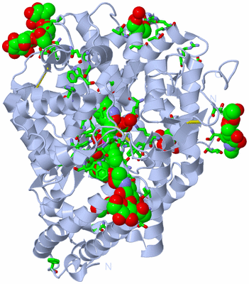 Image Biol. Unit 1 - sites