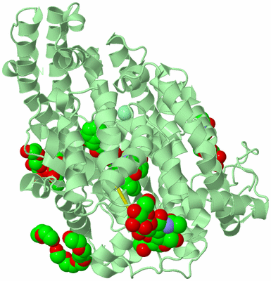 Image Biological Unit 2