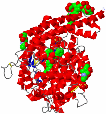 Image Asym./Biol. Unit