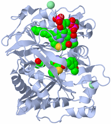 Image Biological Unit 1