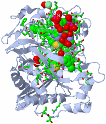 Image Biol. Unit 1 - sites