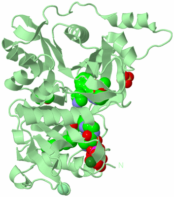 Image Biological Unit 2