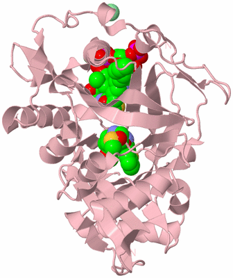 Image Biological Unit 3