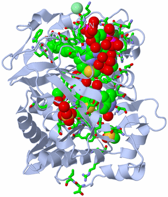 Image Biol. Unit 1 - sites