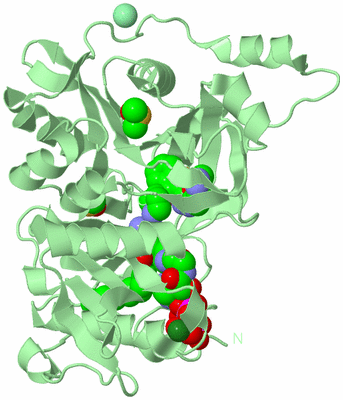 Image Biological Unit 2