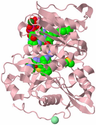 Image Biological Unit 3