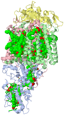 Image Asym./Biol. Unit - sites