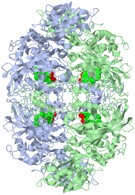 Image Biological Unit 1