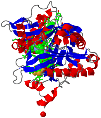 Image Asym./Biol. Unit - sites