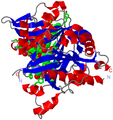 Image Asym./Biol. Unit - sites