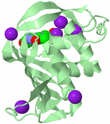 Image Biological Unit 2