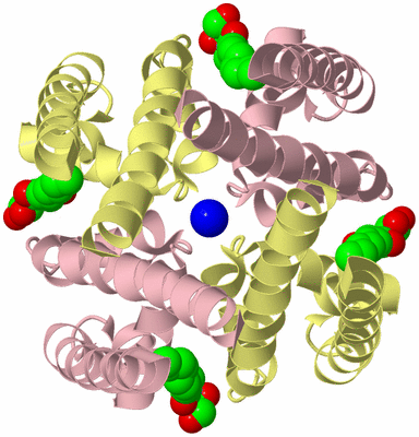 Image Biological Unit 1