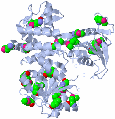 Image Biol. Unit 1 - sites