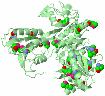 Image Biological Unit 2