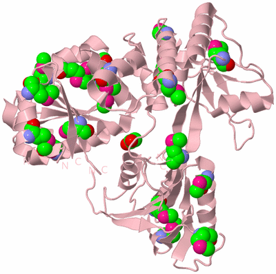 Image Biological Unit 3