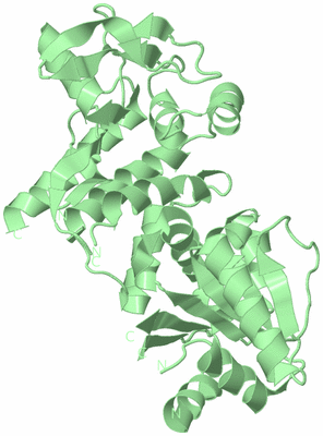 Image Biological Unit 2