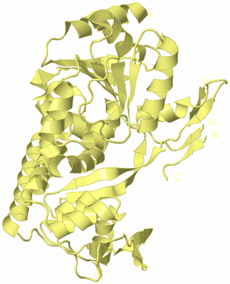 Image Biological Unit 4