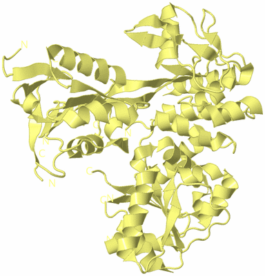 Image Biological Unit 4