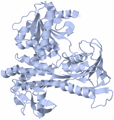 Image Biological Unit 1