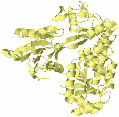 Image Biological Unit 4