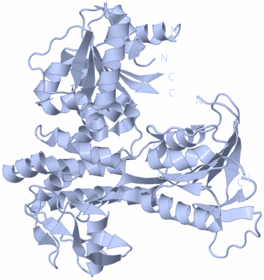 Image Biological Unit 1