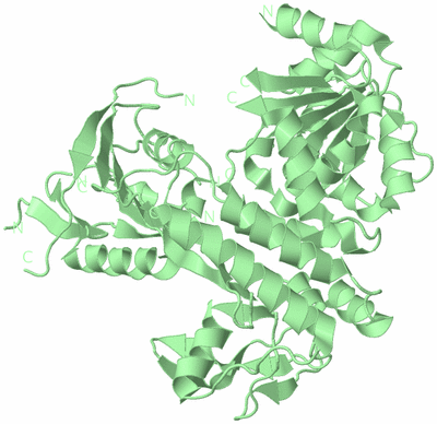 Image Biological Unit 2