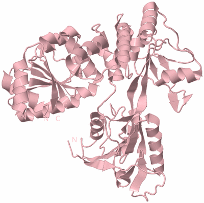 Image Biological Unit 3