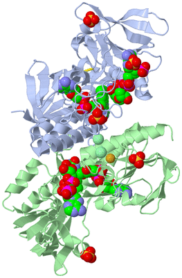 Image Asym./Biol. Unit