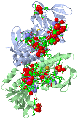 Image Asym./Biol. Unit - sites