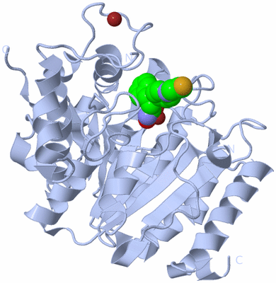 Image Biological Unit 1